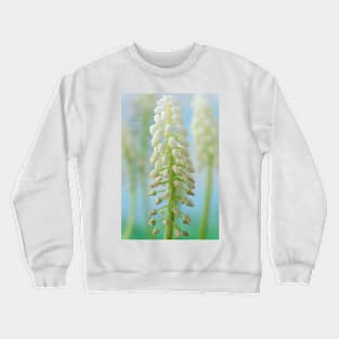 Muscari armeniacum  &#39;Argaei Album&#39;  Grape hyacinth Crewneck Sweatshirt